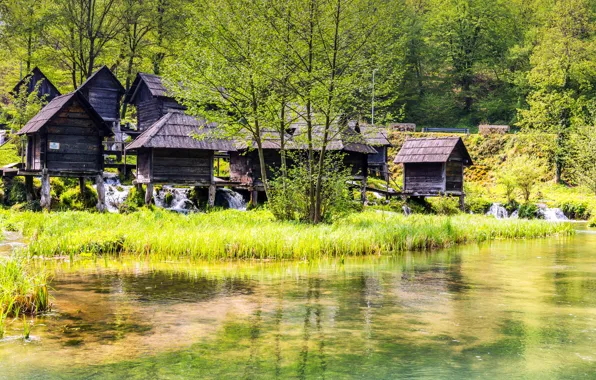 Greens, forest, grass, the sun, trees, lake, house, Croatia