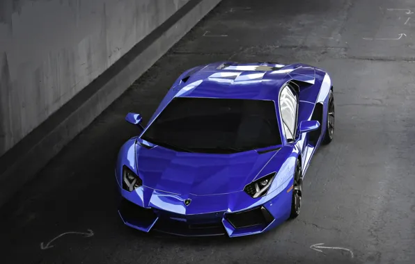Wallpaper blue, lamborghini, blue, the view from the top, aventador ...
