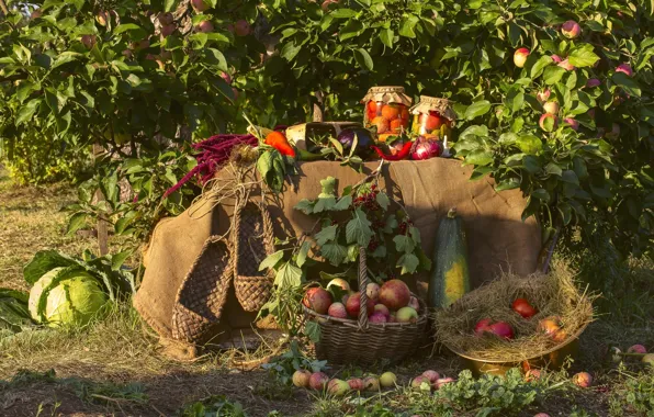 Garden, harvest, vegetables, Apple