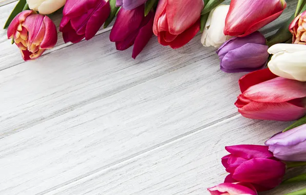 Picture flowers, colorful, tulips, wood, flowers, tulips, spring, purple