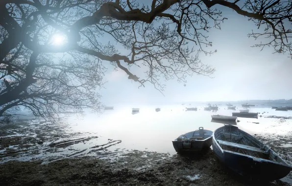 Picture light, fog, lake, boats, morning