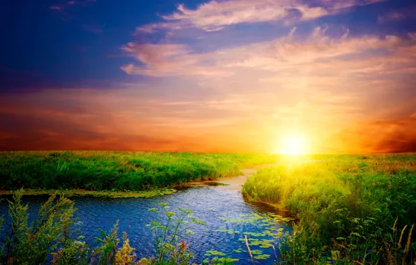 Greens, the sky, sunset, river, shore