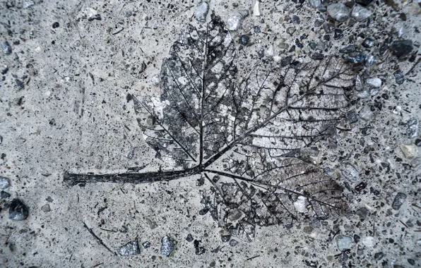 Sheet, earth, stones