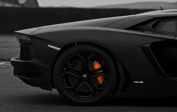 Picture black, disk, lamborghini, aventador, lp700-4, Mat