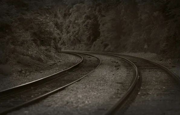 Trees, the way, the way, stones, landscapes, stone, rails, railroad