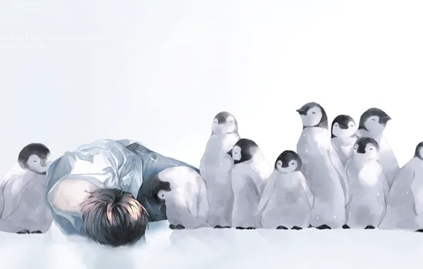 Snow, penguins, guy, Chicks, by 世