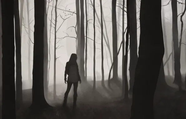 Forest, girl, trees, silhouette, desktopography