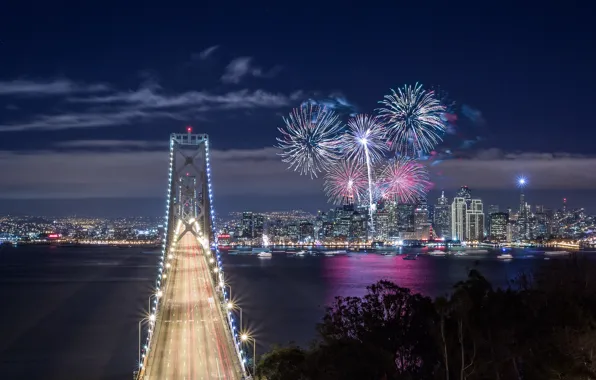 The sky, clouds, night, bridge, lights, Bay, fireworks, USA