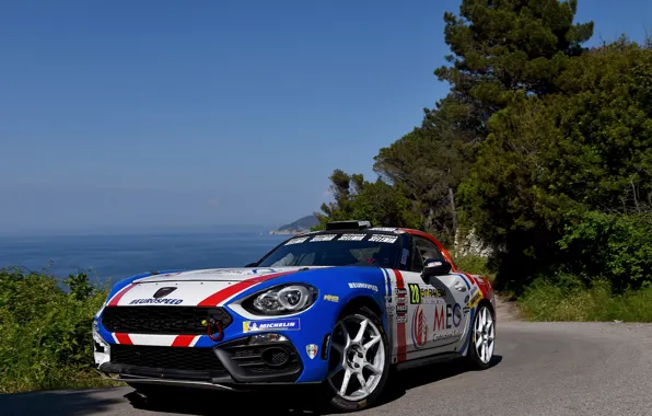 Picture the sky, turn, rally, 2018, Abarth, 124 Rally