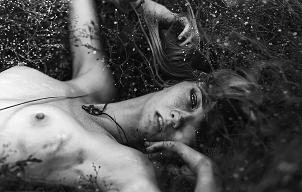 Chest, grass, look, girl, flowers, pose, model, naked