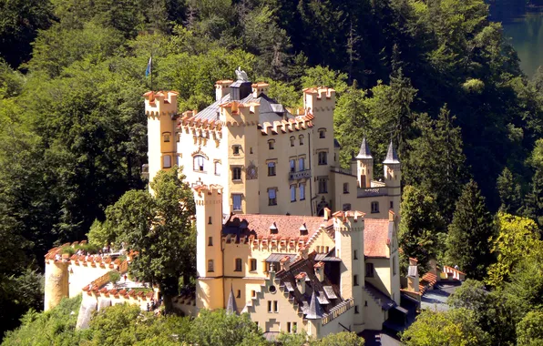 Picture forest, trees, lake, castle, Germany, Hohenschwangau