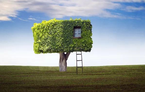 Picture field, house, tree, ladder