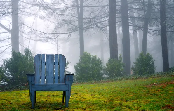 Picture nature, background, chair