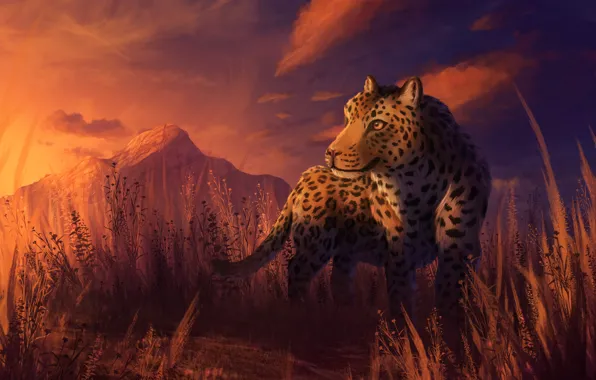 Sunset, nature, leopard, by CreeperMan0508