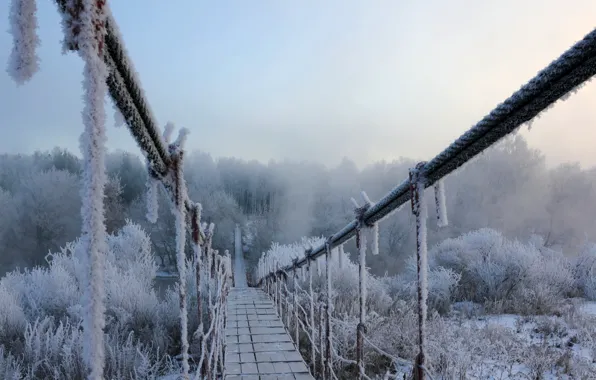 Winter, frost, snow, bridge
