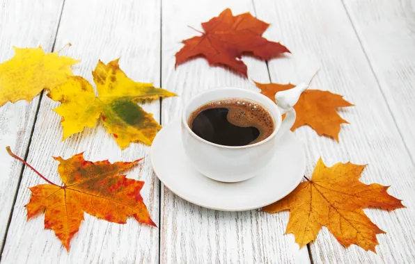 Autumn, leaves, wood, autumn, leaves, coffee cup, a Cup of coffee