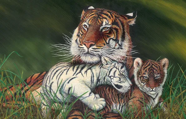 Picture Grass, Look, Kittens, The cubs, Animals, Art, Tigress, Three