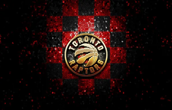 Toronto Raptors Wallpaper  Raptors basketball, Toronto raptors basketball, Toronto  raptors