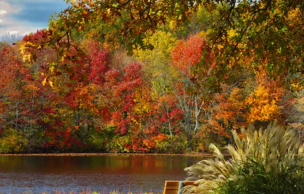 Picture autumn, leaves, trees, pond, Park, bench