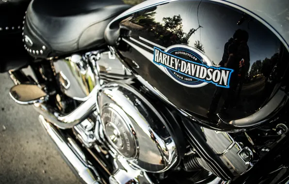 Metal, bike, Harley-Davidson