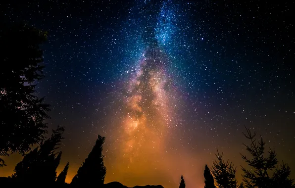 Space, stars, trees, night, the milky way
