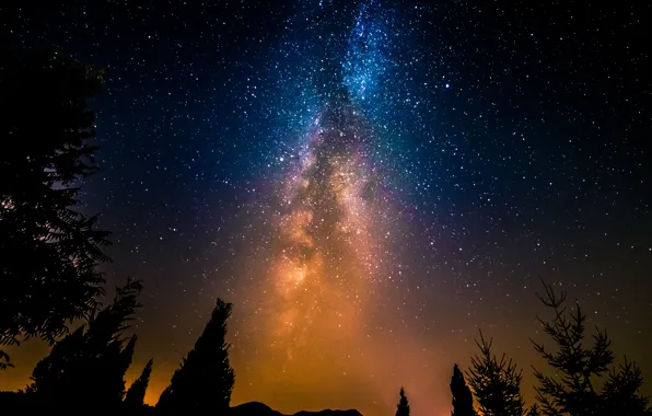 Picture space, stars, trees, night, the milky way