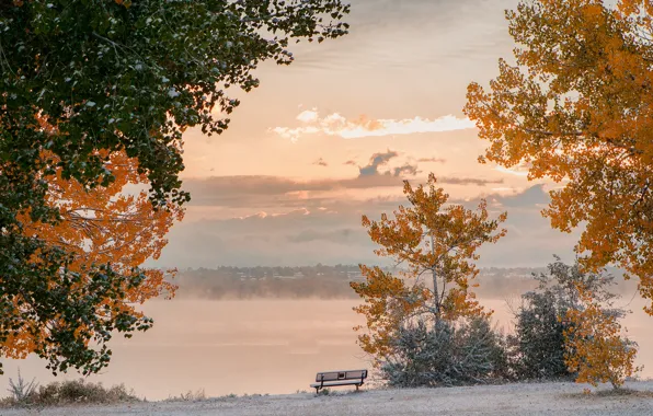 Frost, autumn, the sky, clouds, snow, trees, bench