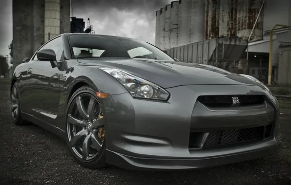 Picture grey, plant, Nissan GTR
