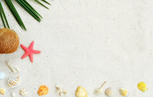 Picture sand, beach, background, star, shell, summer, beach, sand