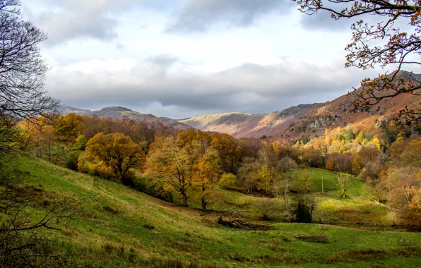 Autumn, forest, grass, clouds, trees, mountains, England, Grasmere