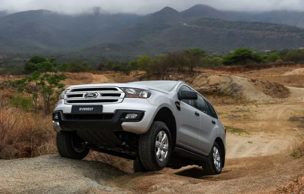 Earth, Ford, protection, the ground, Everest, 4WD, 2015, XLS