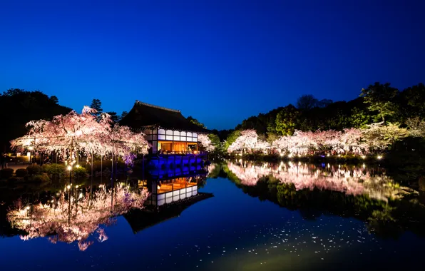 Water, trees, landscape, nature, reflection, the evening, Japan, Sakura