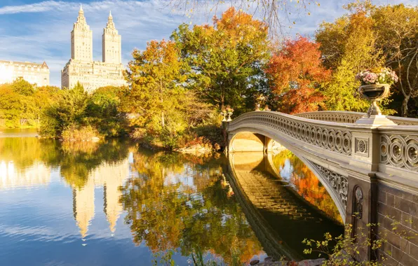 Autumn, bridge, lake, New York, USA, Central Park