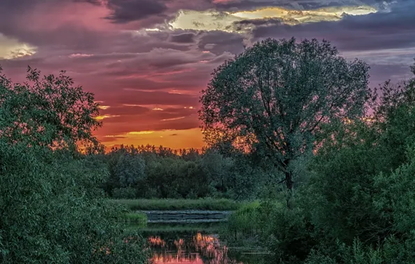 Picture landscape, sunset, mountains, nature