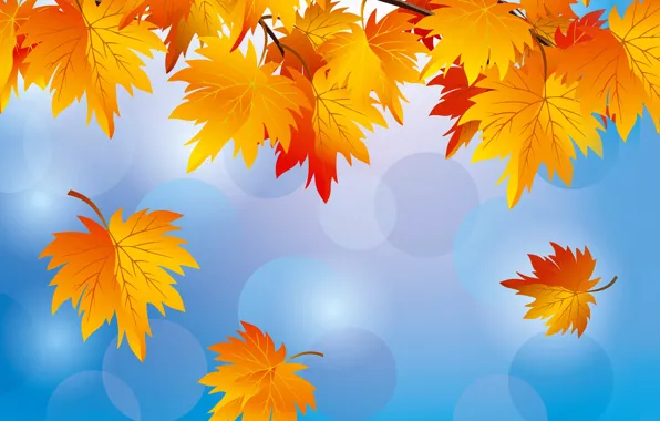 Picture autumn, the sky, leaves, nature, vector