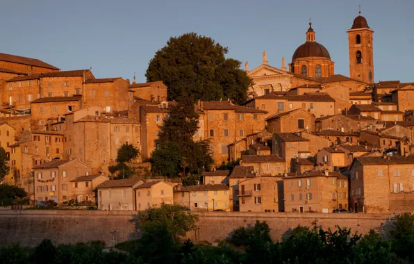 Home, Italy, Cathedral, Urbino