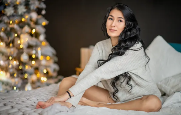 Picture look, girl, pose, New year, tree, long hair, sweater, Alfinur