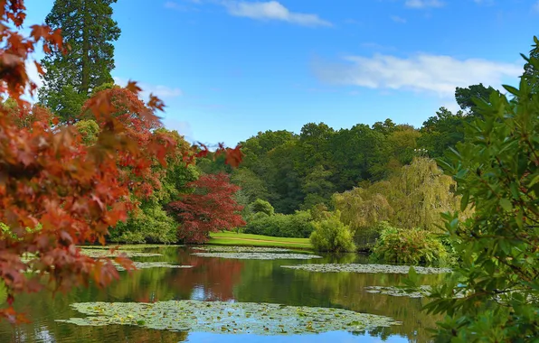 Picture autumn, the sky, clouds, trees, pond, Park