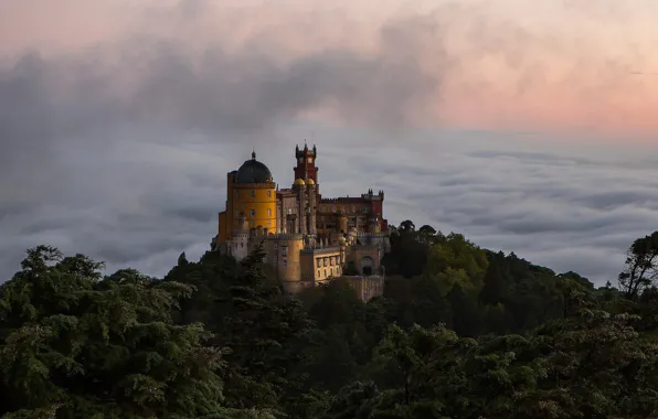 Picture forest, the sky, clouds, trees, sunset, the evening, Portugal, architecture