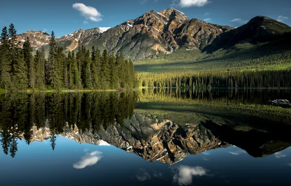 Forest, the sky, water, clouds, reflection, mountains, lake, Nature