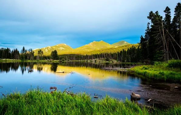 Picture forest, the sky, clouds, trees, mountains, lake, USA, Colorado