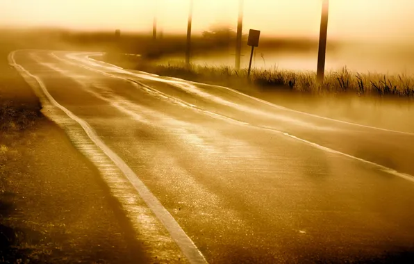 Road, landscape, fog, morning