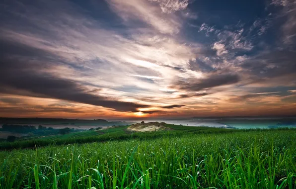 Picture the sky, grass, clouds, sunset, field