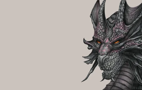 Face, dragon, painting, light background, dragon