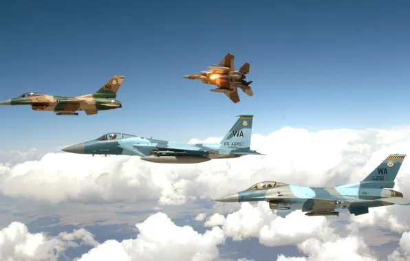 Flight, the plane, fighter, in the sky, F-15 Eagles, F-16 Fighting Falcons