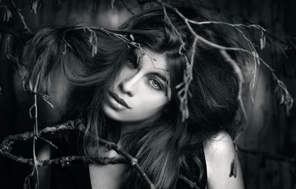 Girl, branches, Joachim Bergauer, In the Wood