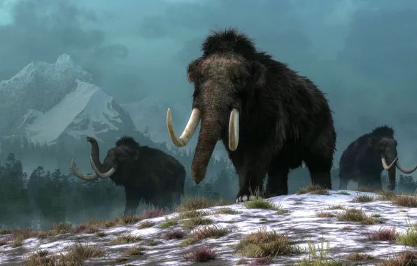 Winter, Mountains, Grass, Snow, Art, Elephants, Three, Mammoth
