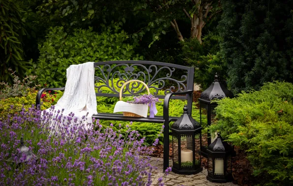 Flowers, bench, lights, plaid, lavender