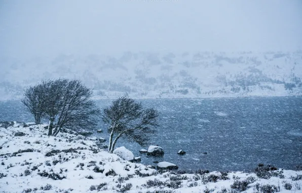 Winter, snow, river, Blizzard