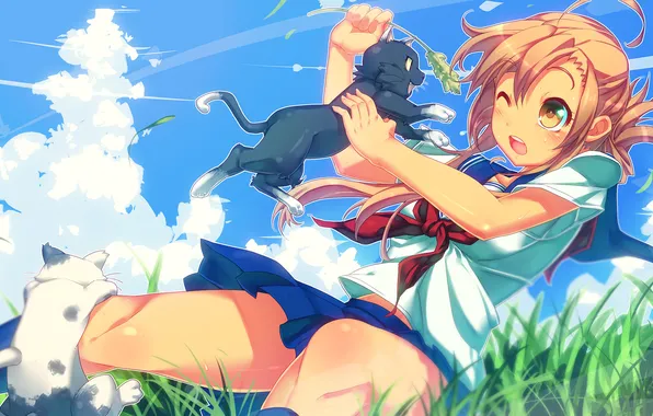 Summer, the game, day, girl, kittens, Nyan Koi